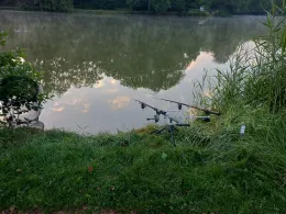 Brückweiher (Jägersburg)-3