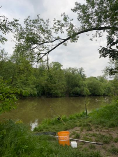 Kocher (Forchtenberg)-4