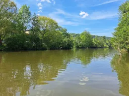 Kocher (Forchtenberg)-1