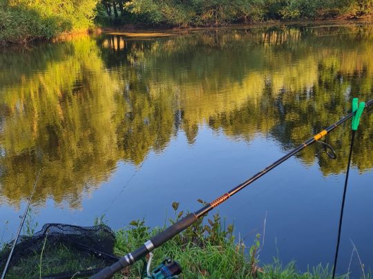 Rosenauteich (Friedrichroda)-3