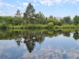 Rosenauteich (Friedrichroda)-2