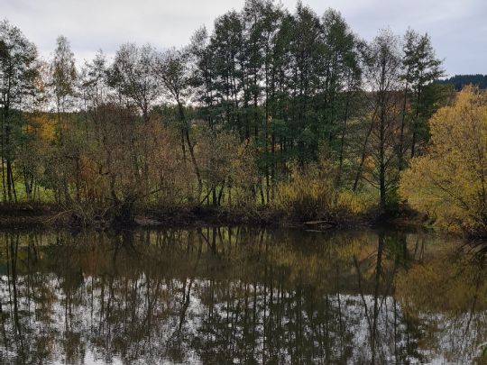 Rosenauteich (Friedrichroda)-1