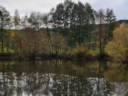 Rosenauteich (Friedrichroda)-1