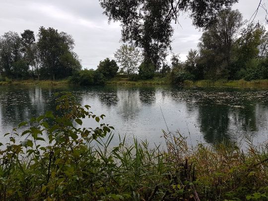 Gastsee (Sinningen)-3