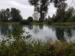 Gastsee (Sinningen)-3