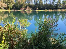 Gastsee (Sinningen)-1