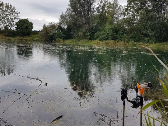 Gastsee (Sinningen) angeln