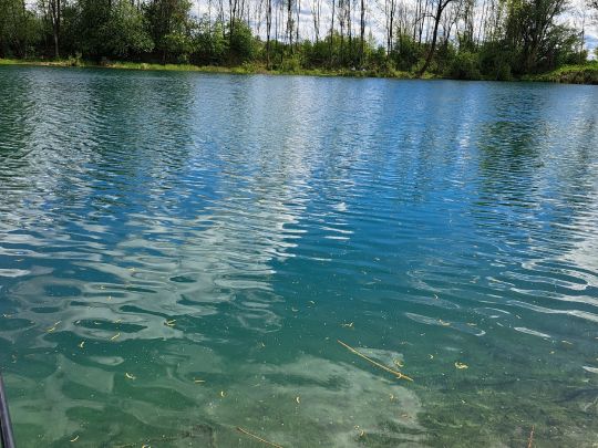Gastsee (Sinningen)