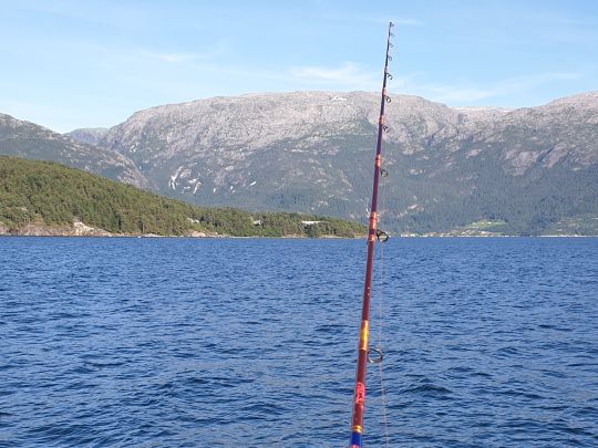 Hardangerfjorden-2