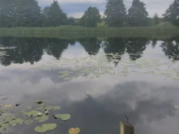 Bützow See (Kleekamp)-1