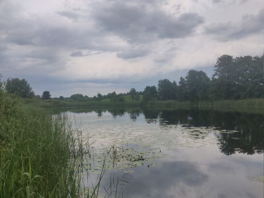 Bützow See (Kleekamp)-2