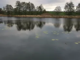 Bützow See (Kleekamp)