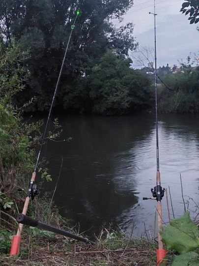 Regnitz (Fürth)-1