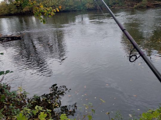 Regnitz (Fürth)-2