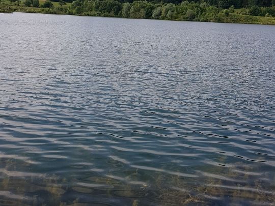 Südsee 2 Zielfingen (Zander-Forellensee)-4