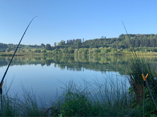 Südsee 2 Zielfingen (Zander-Forellensee)-1
