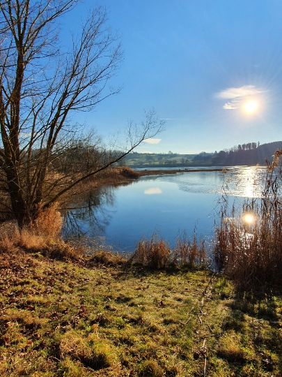Südsee 2 Zielfingen (Zander-Forellensee)-3