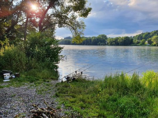 Südsee 2 Zielfingen (Zander-Forellensee)-2