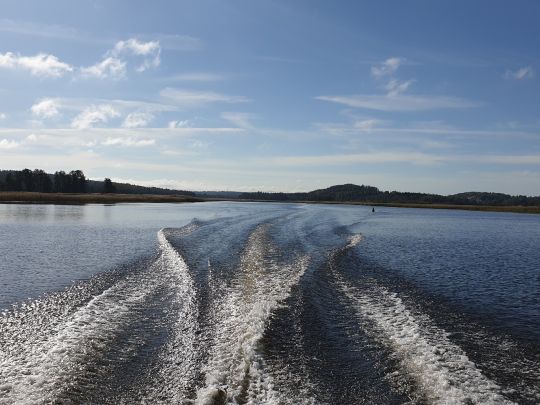 Harefjorden