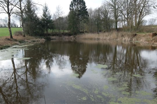 Vereinsgewässer AC Neese