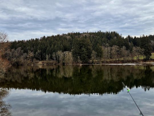 Bachtelsee (Biessenhofen)-1