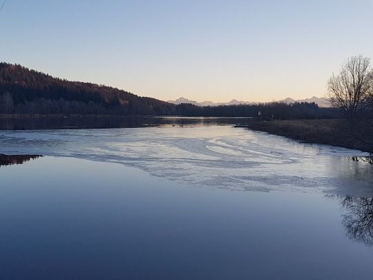 Bachtelsee (Biessenhofen) angeln