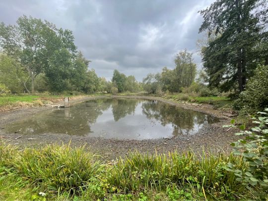 Flottenteich (Weddersleben)-1