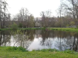 Flottenteich (Weddersleben)