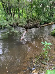 Osterbach (Wegscheid)-1