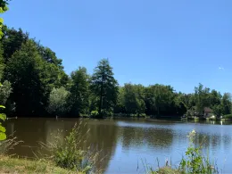 Motschweiher (Waldmohr)-1