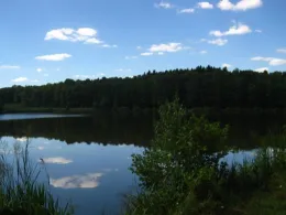 Motschweiher (Waldmohr)-2