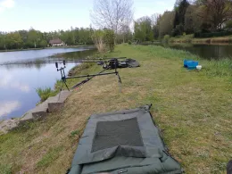 Motschweiher (Waldmohr)