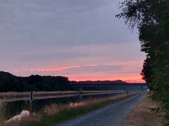 Elbe-Seitenkanal (Uelzen)-3