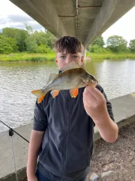 Elbe-Seitenkanal (Uelzen)