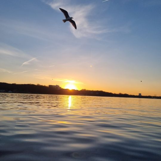 Kieler Förde (Heikendorf)-1