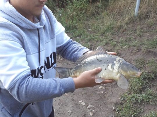 Kieler Förde (Heikendorf)-4