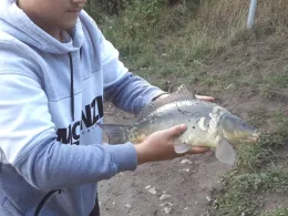 Kieler Förde (Heikendorf)-4