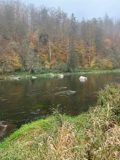 Regen (Hirschling-Marienthal)-4