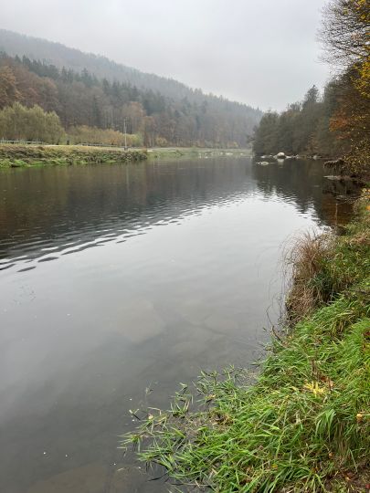 Regen (Hirschling-Marienthal)-3