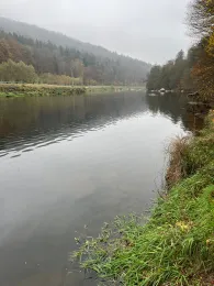 Regen (Hirschling-Marienthal)-3