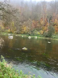 Regen (Hirschling-Marienthal)-2