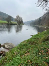 Regen (Hirschling-Marienthal)-1