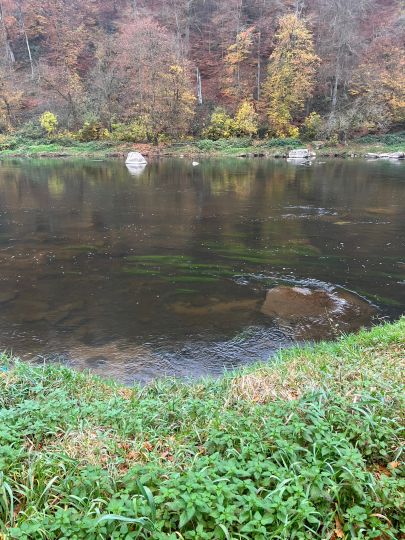 Regen (Hirschling-Marienthal)