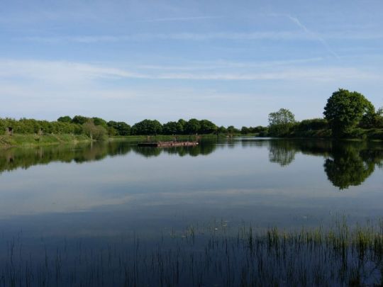 Forellensee Barderup-3