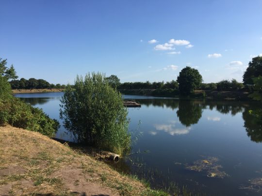 Forellensee Barderup-4