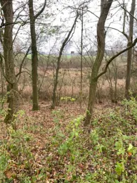 Tongrube Kossenblatt