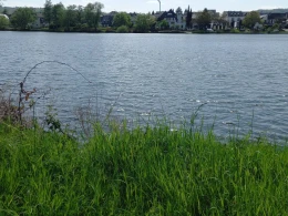 Mosel (Piesport-Minheim)-1