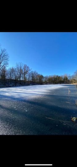 Großer Sperber (Ruppichteroth)-1