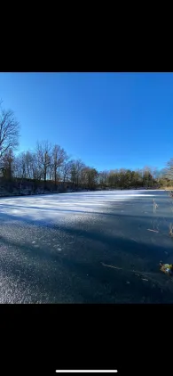 Großer Sperber (Ruppichteroth)-1