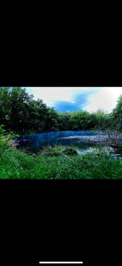 Großer Sperber (Ruppichteroth)-2